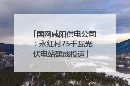 国网咸阳供电公司：永红村75千瓦光伏电站建成投运