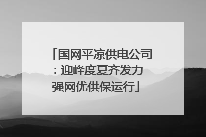 国网平凉供电公司：迎峰度夏齐发力 强网优供保运行