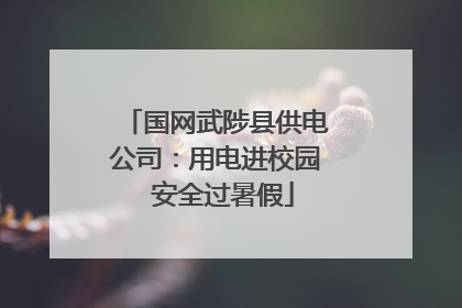 国网武陟县供电公司：用电进校园  安全过暑假