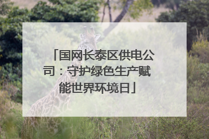 国网长泰区供电公司：守护绿色生产赋能世界环境日