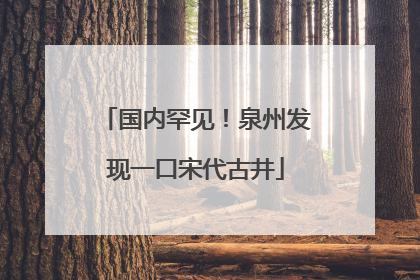 国内罕见！泉州发现一口宋代古井