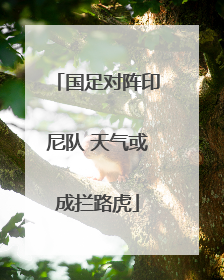 国足对阵印尼队 天气或成拦路虎