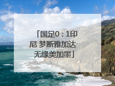 国足0∶1印尼 梦断雅加达 无缘美加墨
