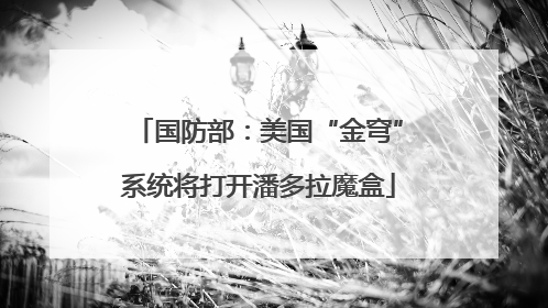国防部：美国“金穹”系统将打开潘多拉魔盒