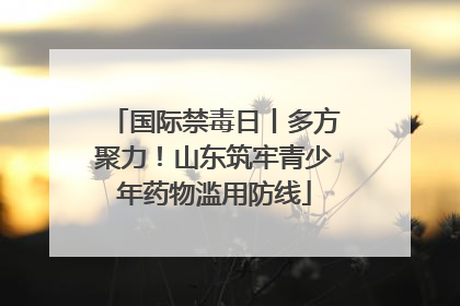 国际禁毒日丨多方聚力！山东筑牢青少年药物滥用防线