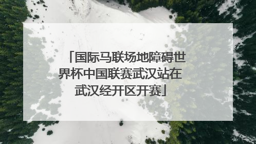 国际马联场地障碍世界杯中国联赛武汉站在武汉经开区开赛