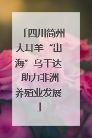四川简州大耳羊“出海”乌干达 助力非洲养殖业发展