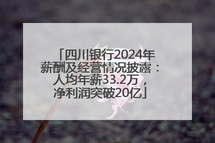 四川银行2024年薪酬及经营情况披露：人均年薪33.2万，净利润突破20亿