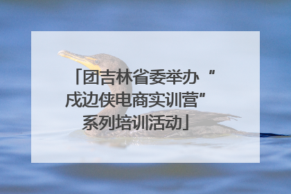 团吉林省委举办“戍边侠电商实训营”系列培训活动