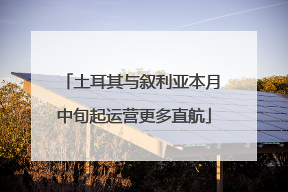 土耳其与叙利亚本月中旬起运营更多直航