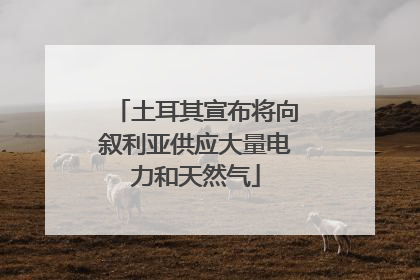 土耳其宣布将向叙利亚供应大量电力和天然气