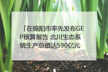 在绵阳市率先发布GEP核算报告 北川生态系统生产总值达590亿元｜新闻发布最前线