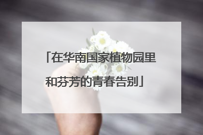 在华南国家植物园里和芬芳的青春告别