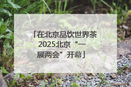 在北京品饮世界茶 2025北京“一展两会”开幕