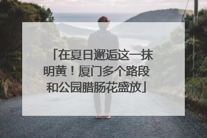 在夏日邂逅这一抹明黄！厦门多个路段和公园腊肠花盛放