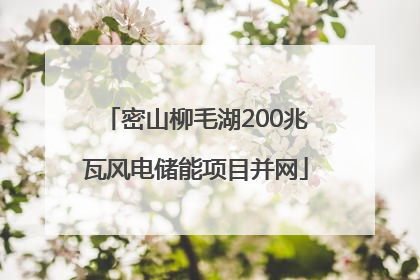密山柳毛湖200兆瓦风电储能项目并网
