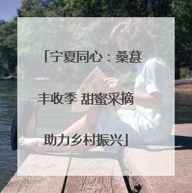 宁夏同心：桑葚丰收季 甜蜜采摘助力乡村振兴