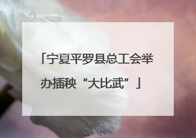 宁夏平罗县总工会举办插秧“大比武”