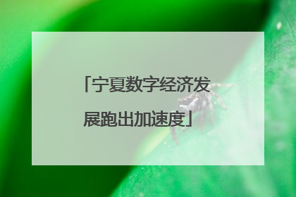 宁夏数字经济发展跑出加速度