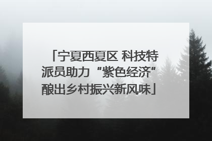 宁夏西夏区 科技特派员助力“紫色经济”酿出乡村振兴新风味