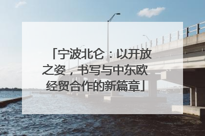 宁波北仑：以开放之姿，书写与中东欧经贸合作的新篇章