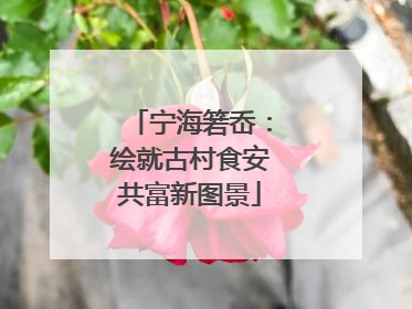 宁海箬岙：绘就古村食安共富新图景