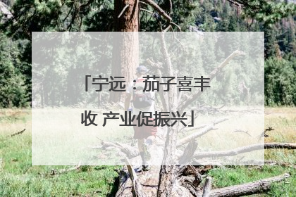 宁远：茄子喜丰收 产业促振兴