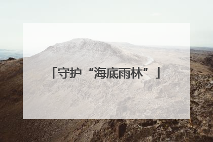 守护“海底雨林”