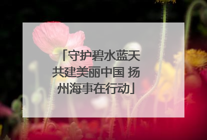 守护碧水蓝天 共建美丽中国 扬州海事在行动