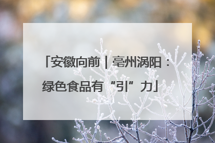 安徽向前｜亳州涡阳：绿色食品有“引”力