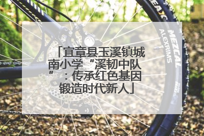 宜章县玉溪镇城南小学“溪韧中队”：传承红色基因 锻造时代新人