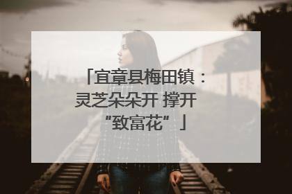 宜章县梅田镇：灵芝朵朵开 撑开“致富花”