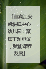 宜宾江安留耕镇中心幼儿园：聚焦主题审议，赋能课程发展