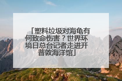塑料垃圾对海龟有何致命伤害？世界环境日总台记者走进开普敦海洋馆