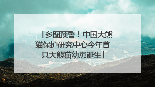 多图预警！中国大熊猫保护研究中心今年首只大熊猫幼崽诞生