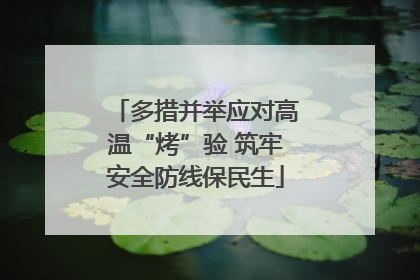 多措并举应对高温“烤”验 筑牢安全防线保民生