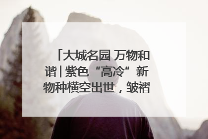 大城名园 万物和谐│紫色“高冷”新物种横空出世，皱褶叶片暗藏进化密码