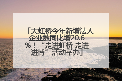 大虹桥今年新增法人企业数同比增20.6%！“走进虹桥 走进进博”活动举办