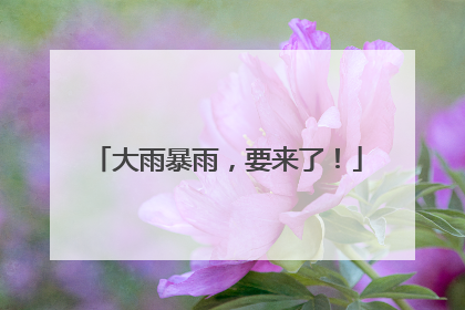 大雨暴雨，要来了！