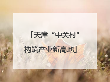 天津“中关村”构筑产业新高地
