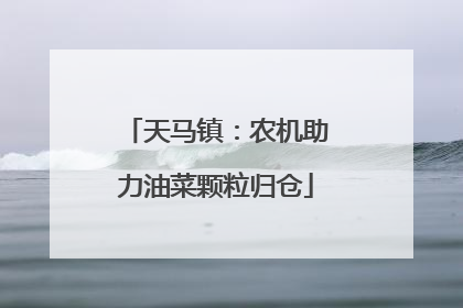 天马镇：农机助力油菜颗粒归仓