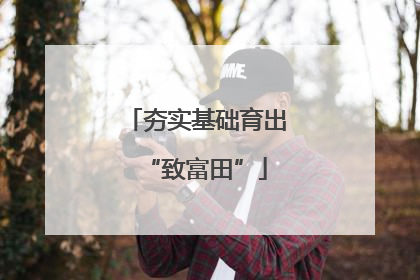 夯实基础育出“致富田”
