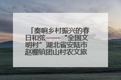 奏响乡村振兴的春日和弦——“全国文明村”湖北省安陆市赵棚镇团山村农文旅融合发展见闻
