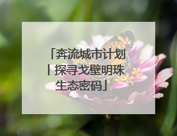 奔流城市计划丨探寻戈壁明珠生态密码