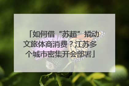 如何借“苏超”撬动文旅体商消费？江苏多个城市密集开会部署