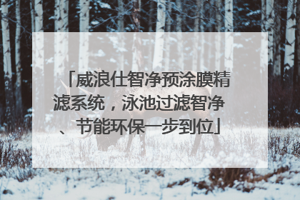 威浪仕智净预涂膜精滤系统，泳池过滤智净、节能环保一步到位