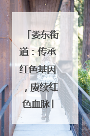 娄东街道：传承红色基因，赓续红色血脉