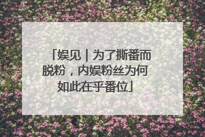 娱见｜为了撕番而脱粉，内娱粉丝为何如此在乎番位