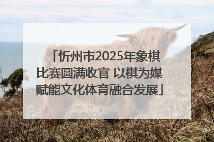 忻州市2025年象棋比赛圆满收官 以棋为媒赋能文化体育融合发展