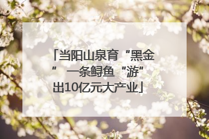 当阳山泉育“黑金” 一条鲟鱼“游”出10亿元大产业